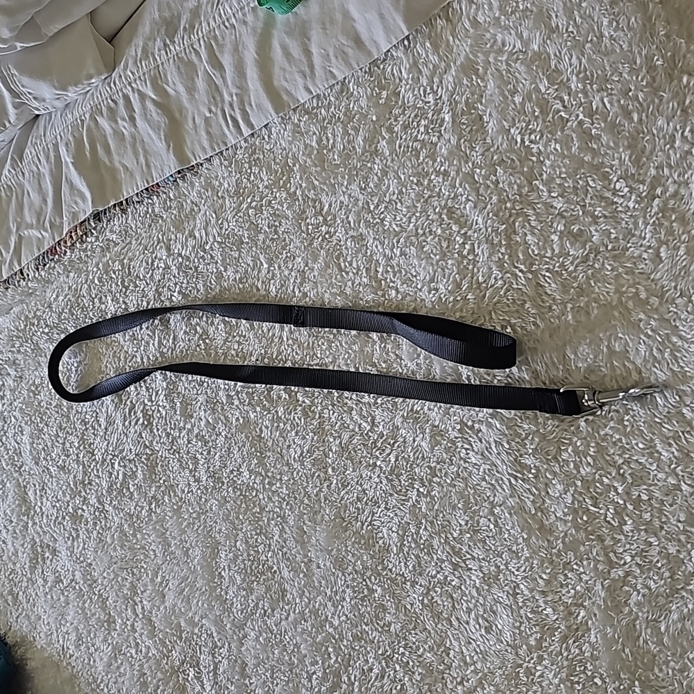 49 inch dog leash